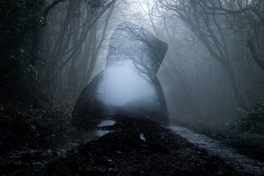 A double exposure of a mysterious spooky ghost like hooded figure on a track on a foggy winters day in a forest