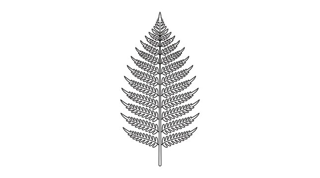 Black and white line art illustration of a single fern leaf