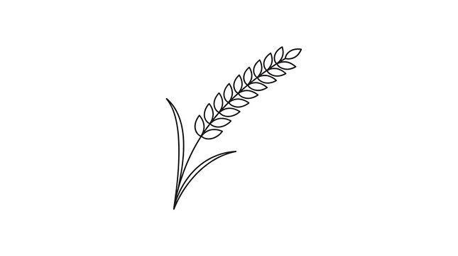 Minimalist black and white wheat stalk line art icon