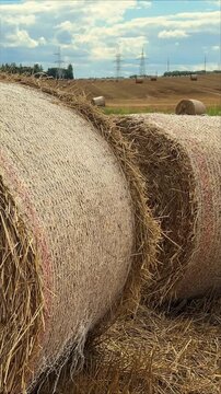 Two round straw bales stand close together in a harvested field, rural agriculture, farming, harvest season, countryside landscape, golden straw.