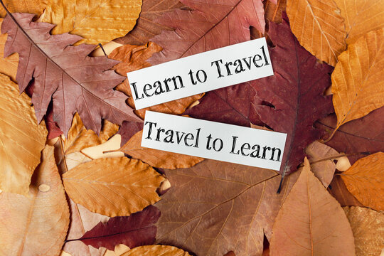 Inspirational quotes 'Learn to Travel' and 'Travel to Learn' placed on a background of colorful autumn leaves, suggesting themes of exploration and education.