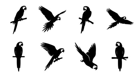 Fototapeta premium Macaw Parrot Silhouettes, Tropical Bird Vector Icons, Exotic Avian Poses, Wildlife Graphics
