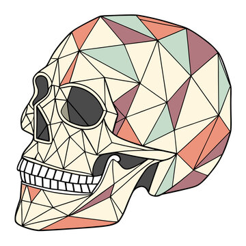 Geometric human skull profile illustration with colorful