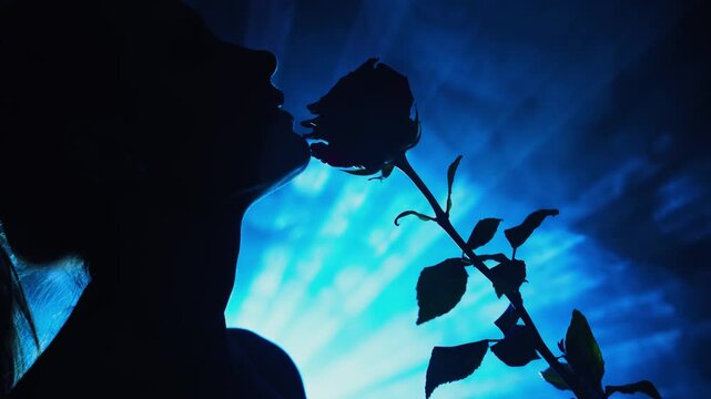dark black silhouette fantasy woman hand holds rose sniffs flower, inhales scent aroma. Beauty Sexy fashion model girl, fog smoke neon pink glow shiny magic rays moon light night club vertical video.