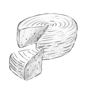 Pencil sketch composition of a round sheep cheese wheel with a cutout and a separated wedge piece. Perfect for cheese board branding and rustic dairy packaging.