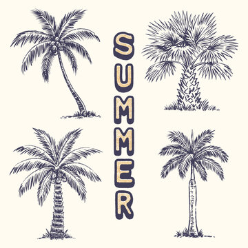 palm illustration tree graphic summer design plant vintage tropical