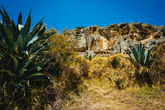 View of the ancient Ventanillas de Otuzco necropolis carved into the volcanic rock face, surrounded by agave plants and dry vegetation in Cajamarca, Cajamarca, Peru.