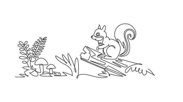 Squirrel sitting on a log surrounded by forest plants.Nature concept.Single line draw design.Full length animation illustration. High quality 4k footage
