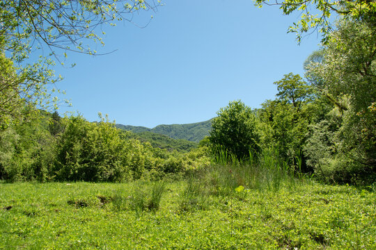 Images of nature, mountain environment in the municipality of Vallepietra, Monti Simbruini Regional Natural Park, Italy.