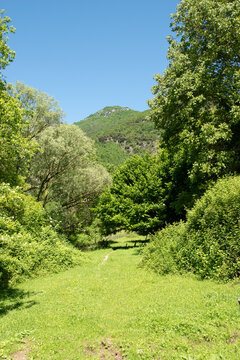 Images of nature, mountain environment in the municipality of Vallepietra, Monti Simbruini Regional Natural Park, Italy.