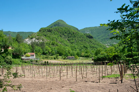 Images of nature, mountain environment in the municipality of Vallepietra, Monti Simbruini Regional Natural Park, Italy.
