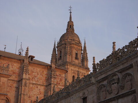 View of the New Cathedral of Salamanca with its ornate tower and intricate stone facade illuminated by the warm light of the golden hour in Salamanca, Castile and Leon, Spain.