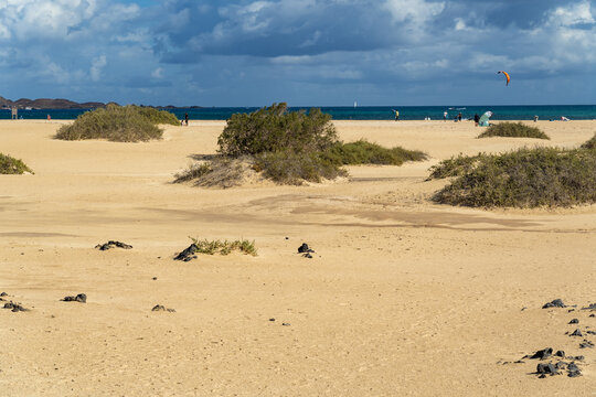 View of the sandy dunes and beach with sparse vegetation, volcanic rocks, and a kite surfer in the distance under a blue sky in Corralejo, Canary Islands, Spain.