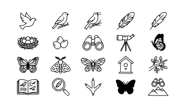 Bird and Butterfly Ornithology Nature Thin Line Icons Vector Set
