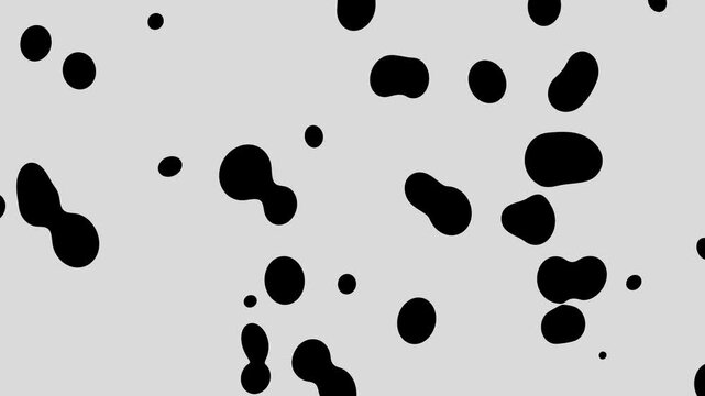 Abstract Black Fluid Droplets Motion Graphics Background
