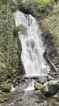 Vertical shot of a scenic waterfall cascading down mossy rocks in a forest.
