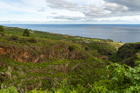 View of a lush green ravine with rocky cliffs leading down to coastal banana plantations and the Atlantic Ocean in Santa Cruz de La Palma, Canary Islands, Spain.
