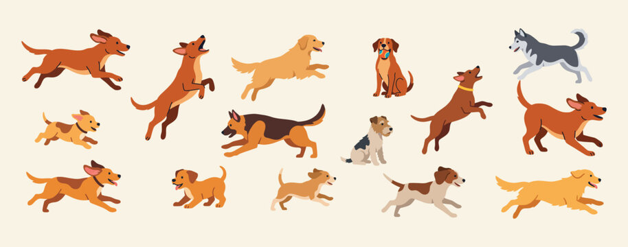 Various breeds of happy dogs running and jumping vector graphic set with illustration collection energetic retriever shepherd dachshund purebred domestic character