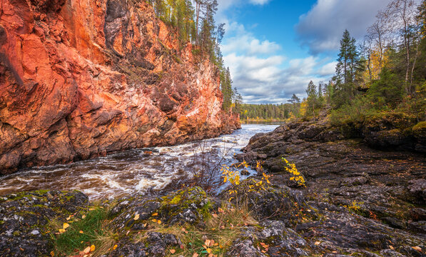 View of Oulanka National Park with a river flowing through a dramatic rocky canyon featuring red cliffs, pine trees, and autumn foliage in Kuusamo, Finland.