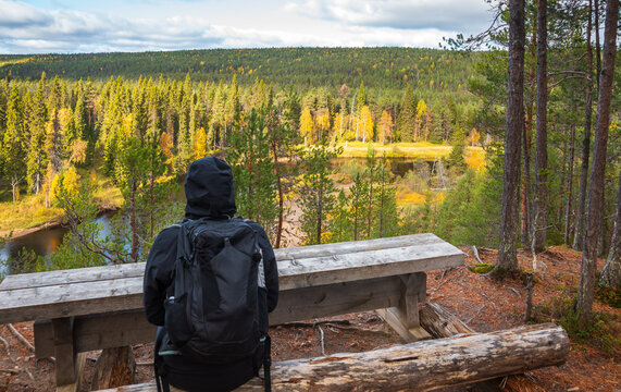 View of a hiker with a backpack sitting on a wooden bench overlooking the Oulanka National Park river and autumn forest in Kuusamo, Finland.