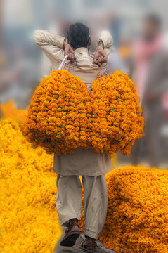 View of a man carrying large bundles of bright orange marigold flowers on his back through the bustling Mian Phool Mandi flower market in Naain Sukh, Punjab, Pakistan.