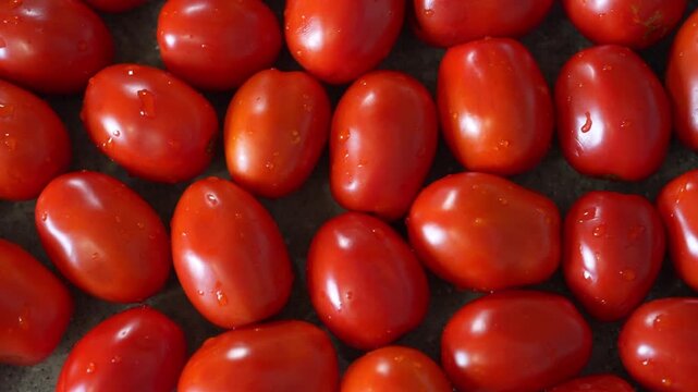 Red ripe tomatoes as background, top view. A lot of washed tomatoes with water drops, ingredient for cooking healthy food.