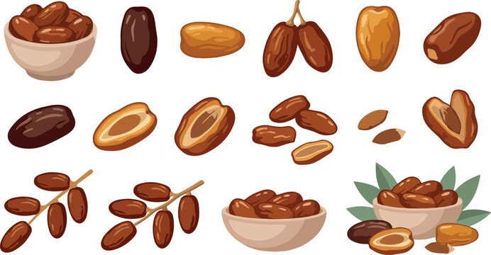 Date fruit collection with whole, sliced, dried and clustered dates isolated on white background