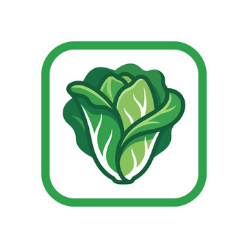 This vibrant logo depicts a fresh green cabbage, symbolizing health and freshness, suitable for branding related to organic produce and healthy eating initiatives.