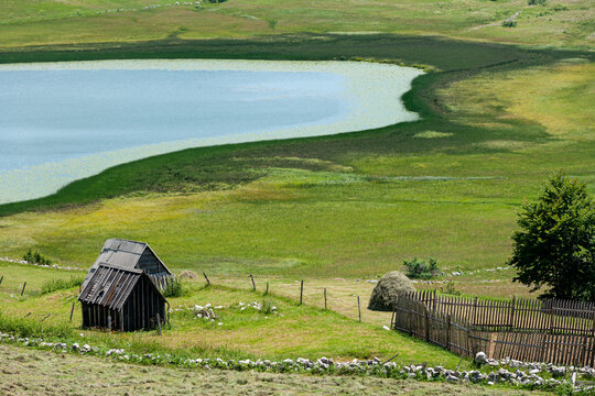 View of traditional wooden huts and a rustic fence near a serene lake in the lush green meadows of Durmitor National Park in Zabljak, Zabljak Municipality, Montenegro.