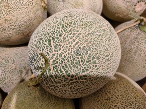 An extreme close-up focusing on a whole red sweet melon, showcasing its intricate, beige webbed pattern over green skin in detail.