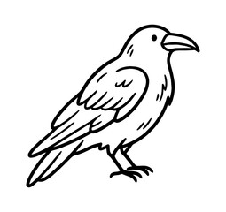 Fototapeta premium Simple black and white line art drawing of a crow bird standing and looking to the side for nature education and wildlife graphic design projects isolated on transparent background, Vector
