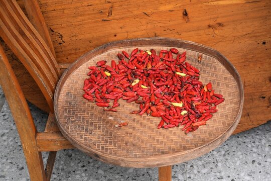 Drying red chili peppers outdoors on a bamboo tray in Guangdong, China. Chinese cuisine ingredient.