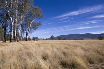 Naklejka premium The Grass Field Under a Bright Blue Sky with Distant Mountains