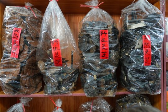 DANXIASHAN, CHINA - NOVEMBER 11, 2025: Rural grocery store Danxia Mountains in Shaoguan (Guangdong Province), China. Wild reishi mushrooms (varnished conk).