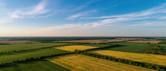 Naklejka premium The Expansive Farmland Landscape Under a Bright Summer Sky Over Harvested Fields
