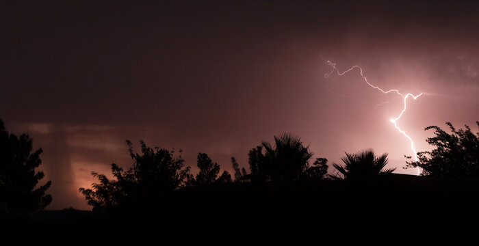 Monsoon storm in Arizona at sunset over the trees