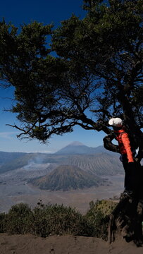View of a person in an orange jacket standing by a tree overlooking the volcanic landscape of Bromo Tengger Semeru National Park in East Java, Indonesia.