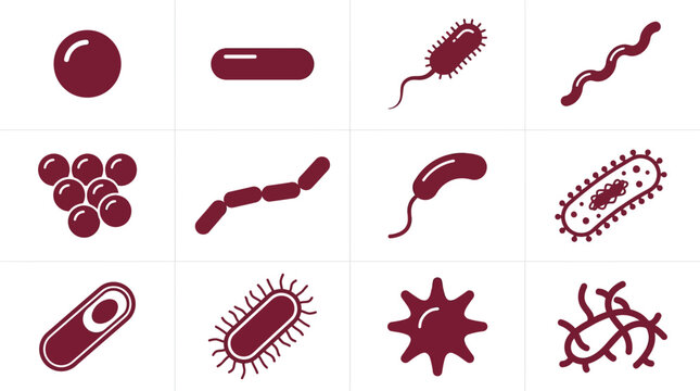 Creative Maroon Medical Showcasing Various Types of Microorganisms and Bacteria Shapes with high quality professional line art symbols for modern creative design and digital branding projects