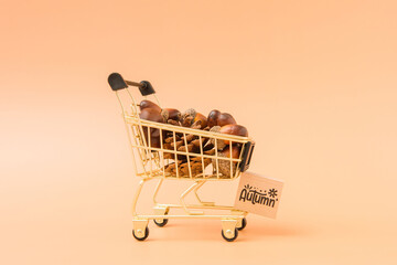 Autumn shopping cart filled with acorns and pine cones against a warm peach background, featuring a small wooden Autumn sign. Seasonal harvest concept photographed from a front angle with copy space. © Bojan