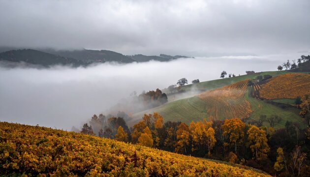 Thick fog rolling over rolling hills and autumn foliage creating a serene natural landscape in the morning.