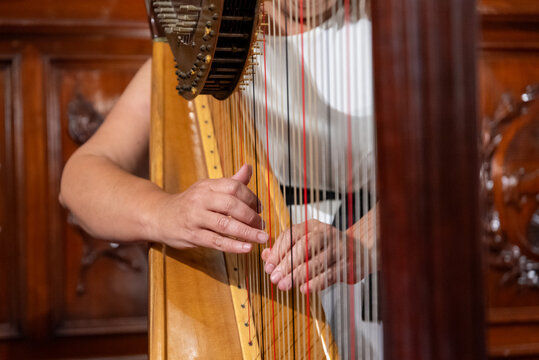 Hands of a musician playing strings of a wooden concert harp