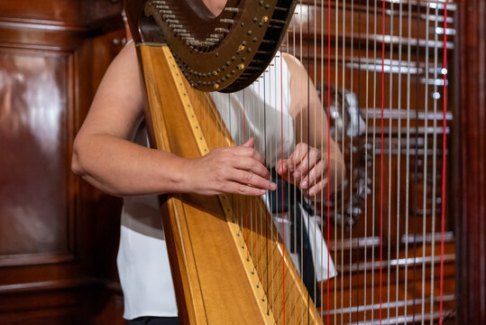 Hands of a musician playing strings of a wooden concert harp