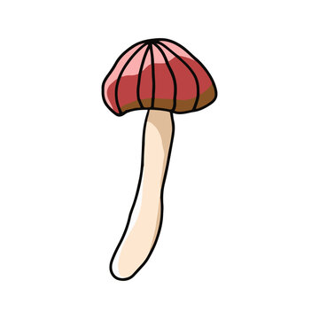 Whimsical Mushroom illustration ico for festive designs