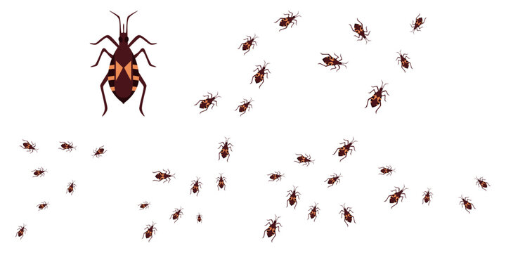 Set of Chagas Disease Insect Illustration Featuring Triatomine Kissing Bug, Disease Vector, Parasite Transmission, and Public Health Awareness. Vector Set.