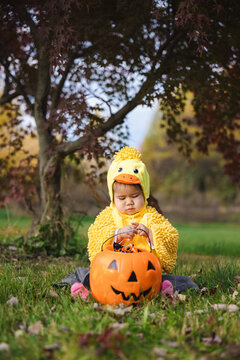 Toddler in Yellow Duck Costume Reaching Into Jack-o-Lantern Bucket