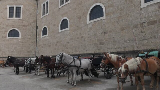 Salzburg, Salzburg, Austria - 26 August 2026: View of horse-drawn carriages parked in the courtyard of Hohensalzburg Fortress with historic stone walls.