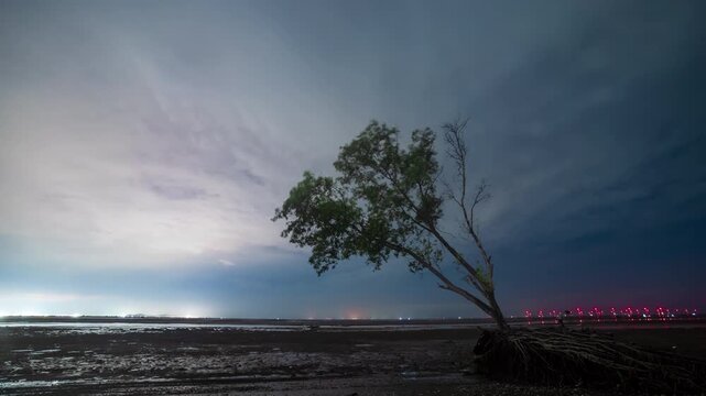 Dramatic night timelapse of a lone tree on a coastal mudflat under moving clouds and city lights in distance