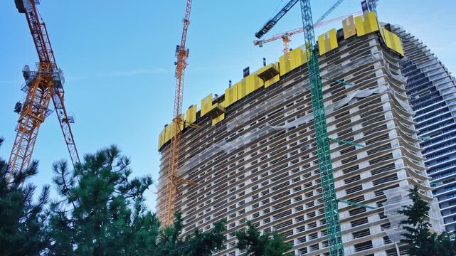 Tower cranes rise beside an unfinished highrise building framed by green pine trees in Batumi.