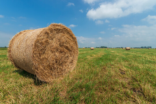 Rolled haystack in a field under a blue sky 