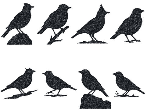 Rustic black songbird silhouettes set with stipple texture on branches and stones for nature themed graphic design layouts.